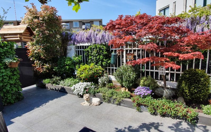 Tuinonderhoud